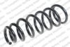 LESJ?FORS 4035766 Coil Spring